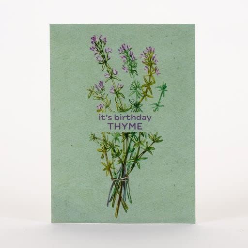 It's Birthday Thyme - Thyme Seed Packets - 25 Packets - Herb Seeds - Garden Seed to Grow Live
