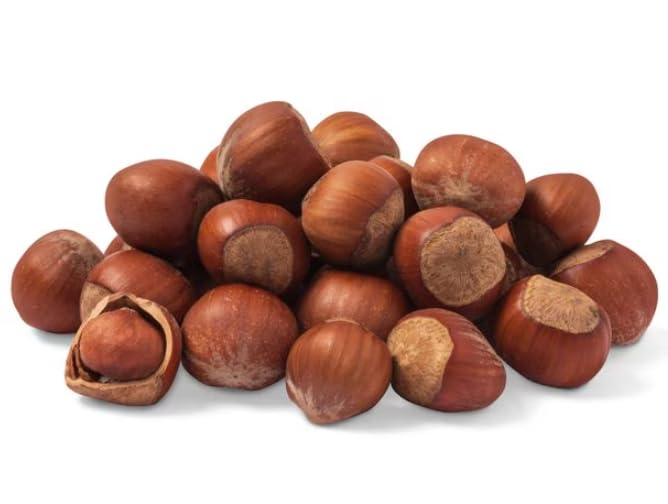Nuts.com Oregon Hazelnuts in Shell, Filberts 1 lb Bag - Whole Raw Jumbo Hazelnuts - Gourmet
