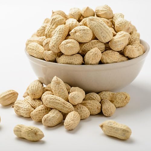 Gurley's Premium Peanuts In-Shell, Fire Roasted & Salted In Shell Peanut, Bulk Party Pack, 10 lb