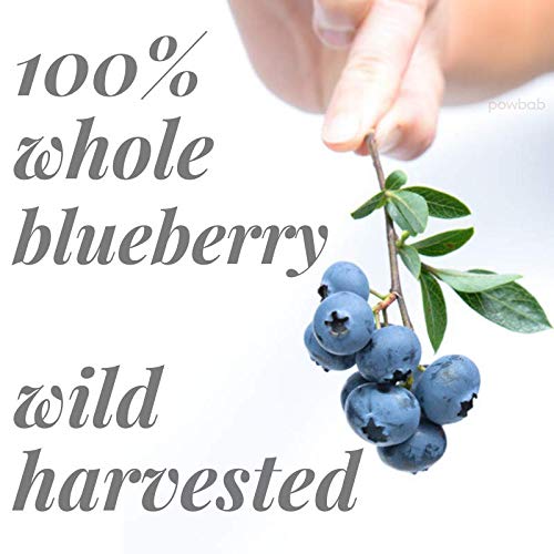 powbab Dried Wild Blueberries. 100% Whole Dried Blueberries No Sugar Added. No Sunflower Oil, No
