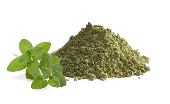 Unpretentious Ground Marjoram, 1 lb, French & Italian Cuisine, Delicate Flavor, Dressings & Dry Rubs