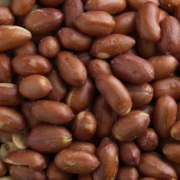 FERIDIES Extra Large Salted Red Skin Peanuts, All Natural, No Preservatives, Kosher 9 Ounce (Pack