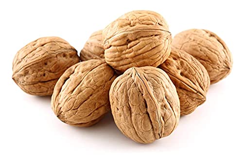 Anna and Sarah Walnuts in Shell - New Crop - Jumbo - Chandler - Natural Shells - Not Bleached (2