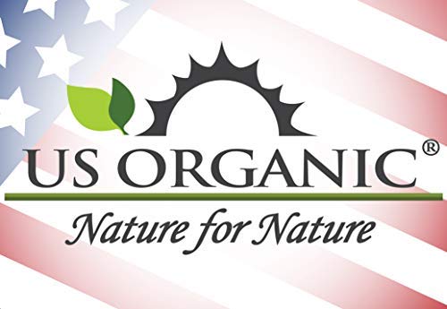 US Organic Helichrysum Essential Oil, USDA Certified Organic, Steam Distilled, Sourced from The