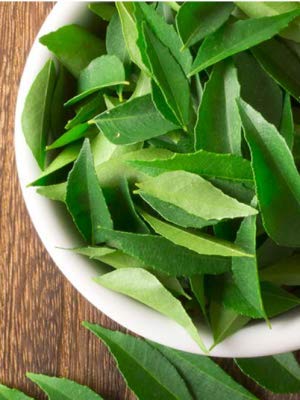 Rani Fresh Curry Leaves 2-3oz ~ All Natural | Vegan | Gluten Friendly | NON-GMO | Product of USA