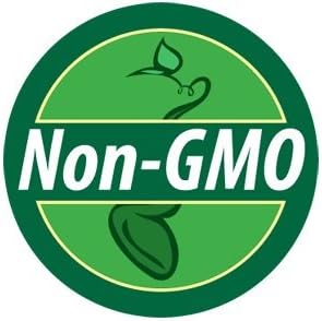 Non GMO Bulk Mammoth Grey Stripe Sunflower Seeds- Helianthus annuus 760 Seeds (1/4 Lb)