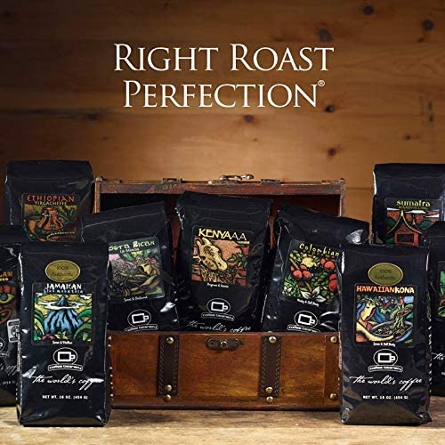 Sampler Coffee Variety Pack | 100% Specialty Arabica Coffee | 6 1.75oz Try-Me-Size one pot bags