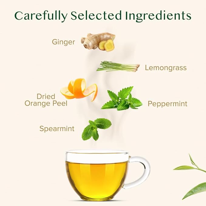 VAHDAM, Citrus Ginger Herbal Tea Tisane (50 Cups, 3.53 oz) Gluten Free, Non GMO | Ginger