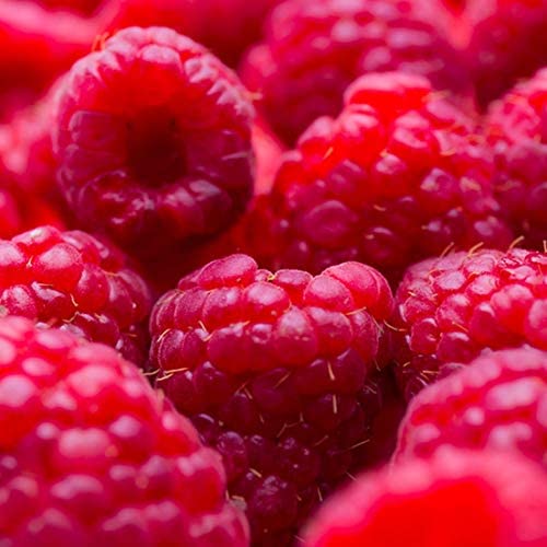 Raspberry Vinegar by Oliviers & Co | Sweet & Tangy Fruit Vinegar from Portugal | Perfect for Duck