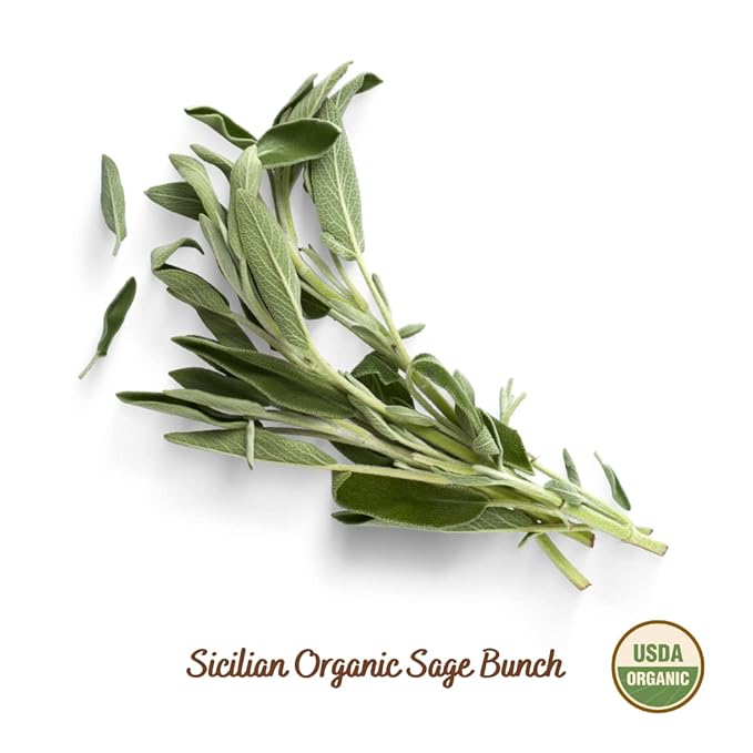 FILIPPONE - Organic Dried Sage, 25 g (0.88 oz) Dried, Fragrant Italian Salvia Branch, Certified