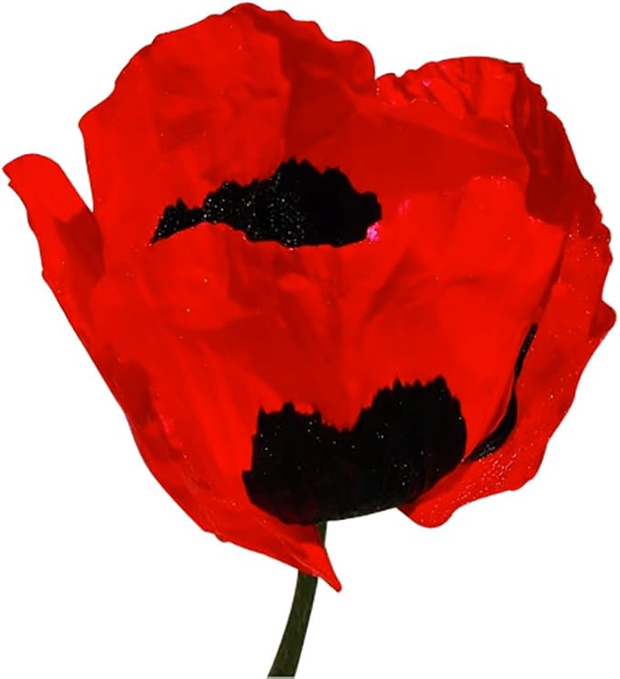 Turkish Poppy Seeds - Tall Poppy with Black Markings - 1000 Seeds