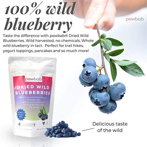 powbab Dried Wild Blueberries. 100% Whole Dried Blueberries No Sugar Added. No Sunflower Oil, No