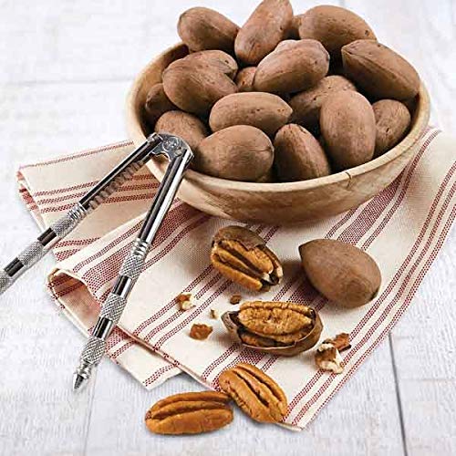 Anna and Sarah Premium Georgian Raw Fresh Pecans in Shell 9 Lbs in Box