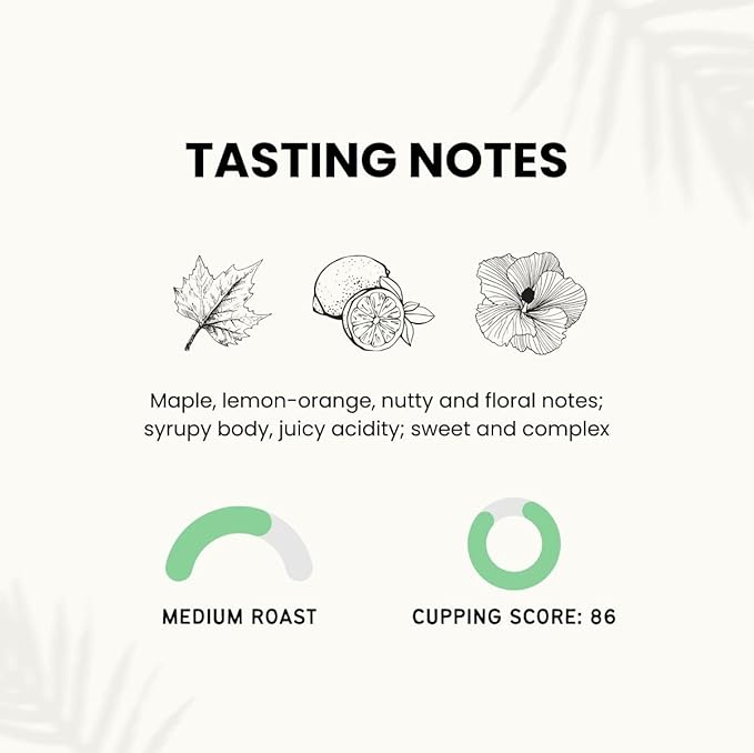 Canopy Point Coffee Guatemala medium air roasted coffee beans - whole bean & ground, specialty