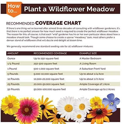Dirt Goddess Super Seeds ~ Sunflower Seed Mix (1/2 Lb) 2,250 Seeds 10 Species of Wildflower Seeds