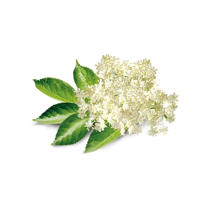 Elderflower Flavor Extract for Baking - Aromatic Floral Flavoring - Non-GMO - Gluten Free - Kosher
