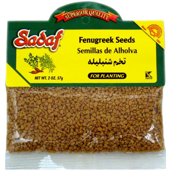 Sadaf Fenugreek Seeds for Planting - Semilla de Fenogreco - Fenugreek Seeds Easy to Grow Seeds for