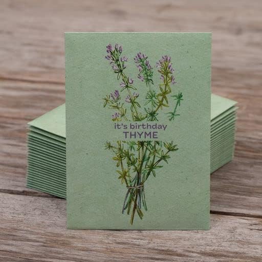 It's Birthday Thyme - Thyme Seed Packets - 25 Packets - Herb Seeds - Garden Seed to Grow Live