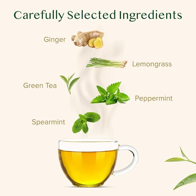 VAHDAM, Ginger Mint Green Tea Bags (100 Count) High Grown Green Tea with Raw Ginger | Medium