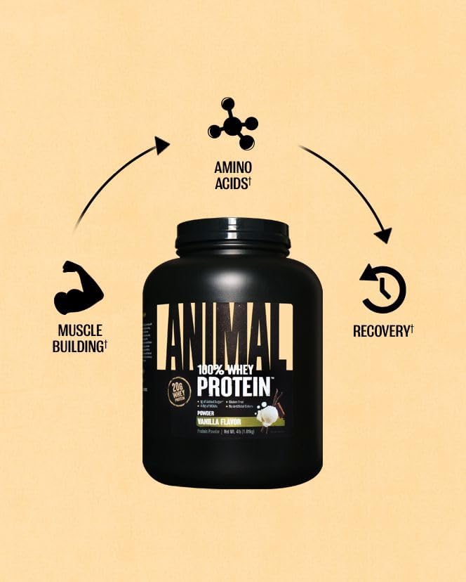 Animal 100% Whey Protein Powder ??Whey Blend for Pre Workout or Post Workout, Recovery, or an
