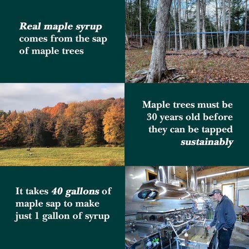 Vermont Maple Syrup - 32 oz Grade A, Dark Robust Organic Maple Syrup - 100% Pure and Authentic