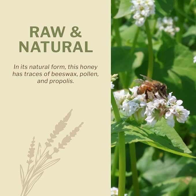 OneRoot Raw Buckwheat Honey - 500g/17.6oz, Unheated, Unfiltered and Unprocessed Natural Dark Honey