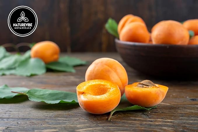 Naturevibe Botanicals Apricot Oil 32 Ounces | 100% Pure and Natural | Great for Skin Care and Hair