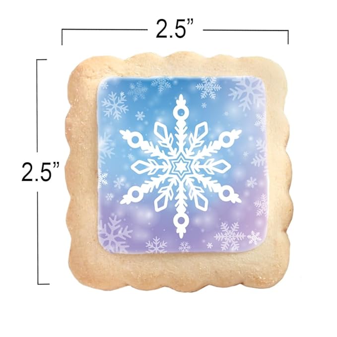 Snowflake Cookies Frozen in Individually Wrapped Snowfake Winter themed Theme Party Favors 24 Pack
