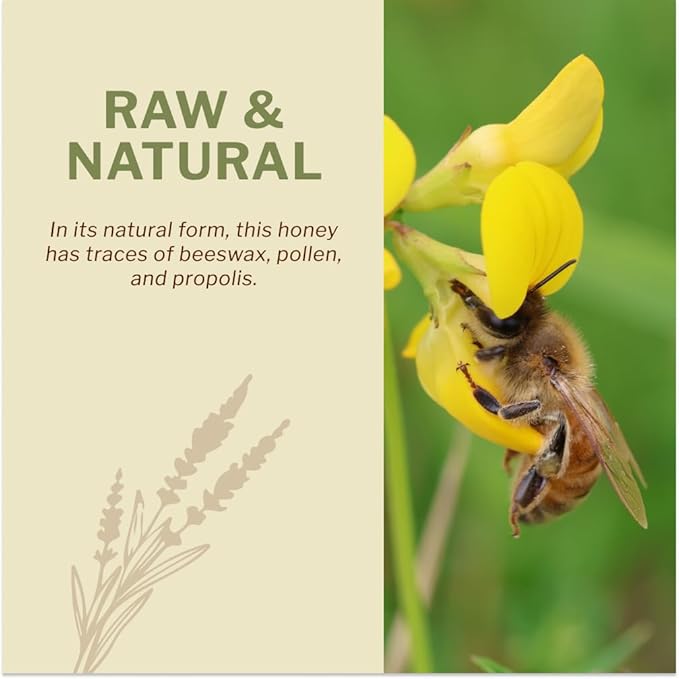 Oneroot 100% Organic Canadian Flower Honey - 17.6 Oz/1.1 Lbs, White Honey Wildflower Unfiltered