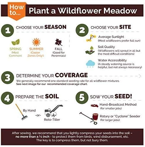Dirt Goddess Super Seeds ~ Sunflower Seed Mix (1/2 Lb) 2,250 Seeds 10 Species of Wildflower Seeds