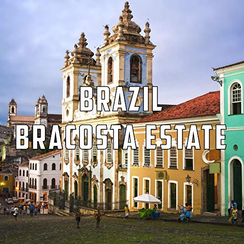 Brazil Coffee, Bracosta Estate, Whole Bean, Fresh Roasted, Kosher, 16-ounce
