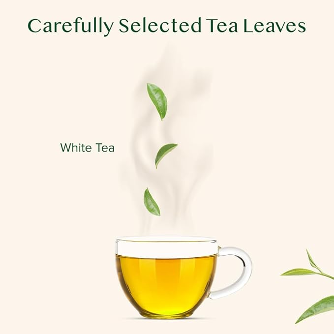 VAHDAM, Imperial White Tea Leaves From Himalayas (25 Cups/1.76oz) High Elevation Grown, White Tea