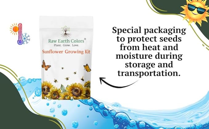 Sunflower Grow Kit with Mammoth Flower Seeds for Planting!