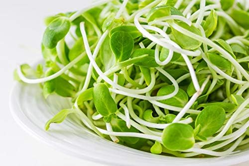 Nature Jims Sprouts Sunflower Seed - Certified Organic Black Oil Sunflower Sprouts for Soups - Raw