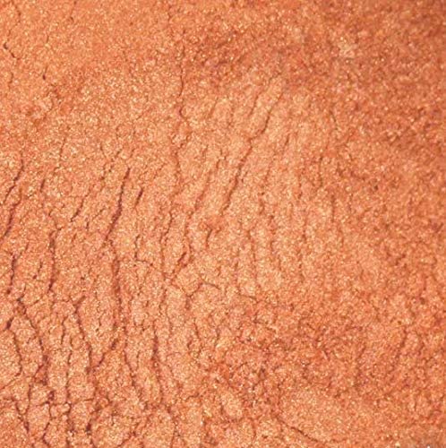 Luster Dust - Pumpkin Orange (4g 1x Jar) | Edible Vegan Dust & Paint for Cake Decorating, Ice
