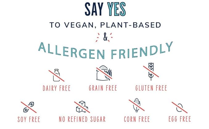 The YES Bar ??Peanut Butter Dark Chocolate ??Plant Based Protein, Decadent Snack Bar ??Vegan