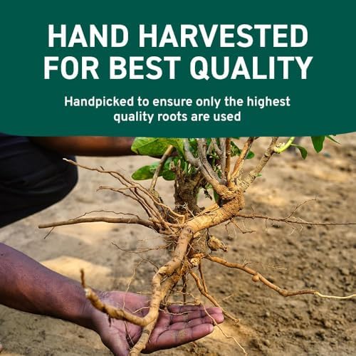 HANDPICK Ashwagandha Root Powder (397g/14oz) No Fillers, No Additives | Finest Grade A Root Powder