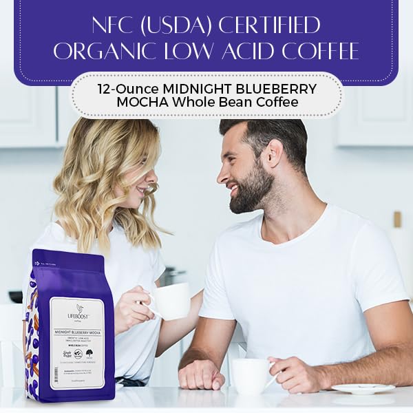 Lifeboost Midnight Blueberry Mocha Whole Bean Coffee - Non-GMO Wild Blueberry Low Acid Single