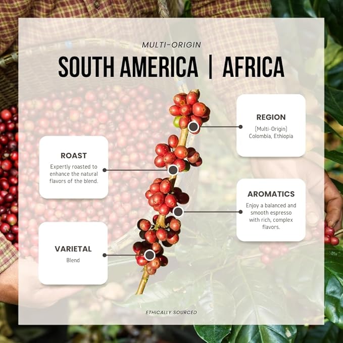 Reborn Coffee Specialty Whole Bean Coffee, Medium Roast, 12 Ounce, Reborn Signature Floresta