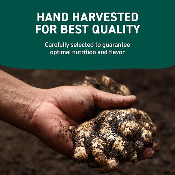 HANDPICK Ginger Powder (14oz/397g) No Additives, No Preservatives, No Fillers | Ginger Root Powder