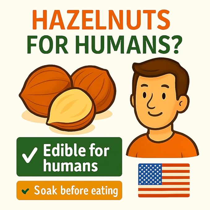 Crazy Nuts | Oregon Grown Large Raw Hazelnuts In Shell, 10lb | Whole Hazelnuts to Eat and for