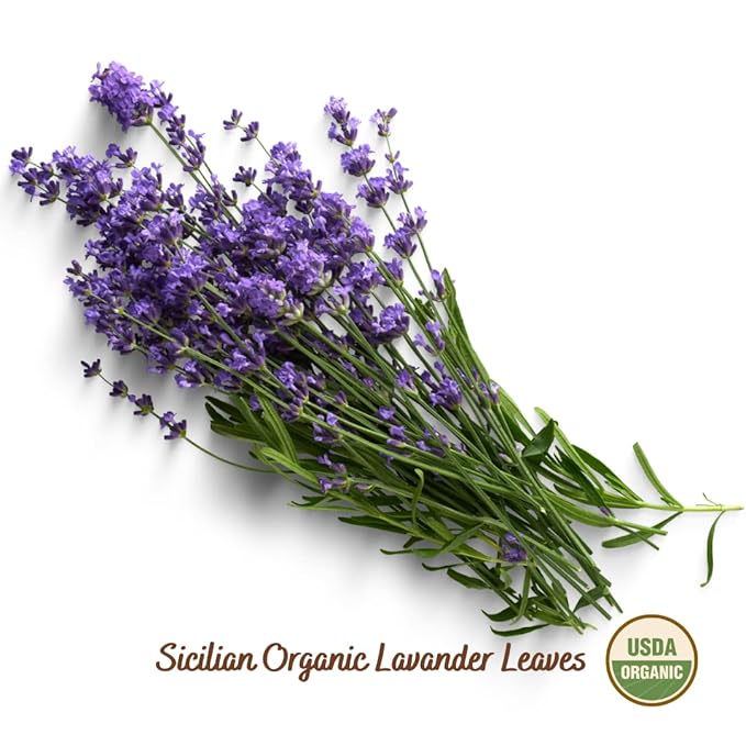 Filippone짰 Organic Dried Lavender Bunch 25 g (0.88 oz), Freshly Grown in The Mountains of Sicily
