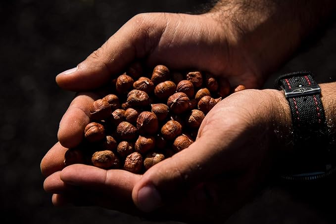 AZNUT Raw Hazelnuts Filbert Nuts, Shelled, Gluten Free, Fresh, Premium Quality 100% Natural Non-GMO
