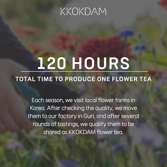 KKOKDAM Kombucha Tea - Orange & Marigold Korean Tea - Kombucha Drinks Probiotic Support, Low