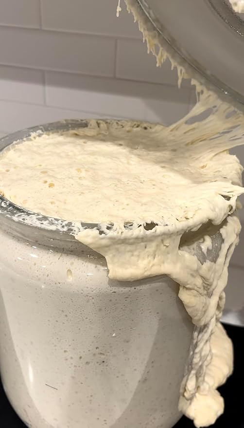 Dehydrated Sourdough Starter by Made With Loave | INCLUDES Recipe | Beginner Friendly | As Seen On
