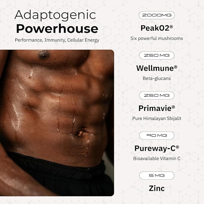 ARC Resilience Mushroom Powder Supplement with Lion?™s Mane, Cordyceps, Reishi, Shilajit