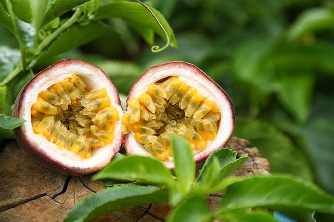 Naturally Delicious Dried Passion Fruit Maracuja 8-oz Bags, No Added Chemicals, No Added Colorings