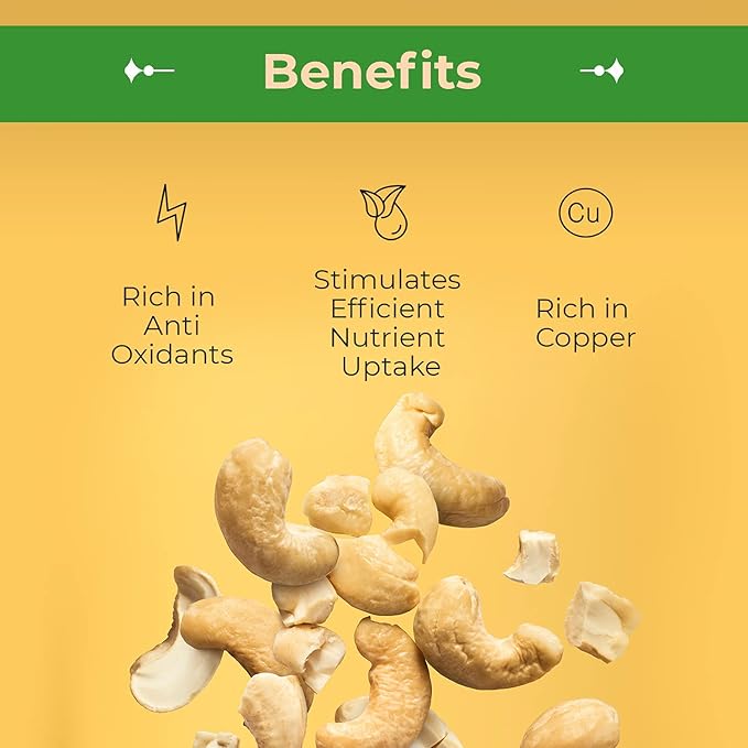 Sincerely Nuts - Raw Cashews Pieces Unsalted | Healthy Snack, Source of Protein | Keto and Paleo