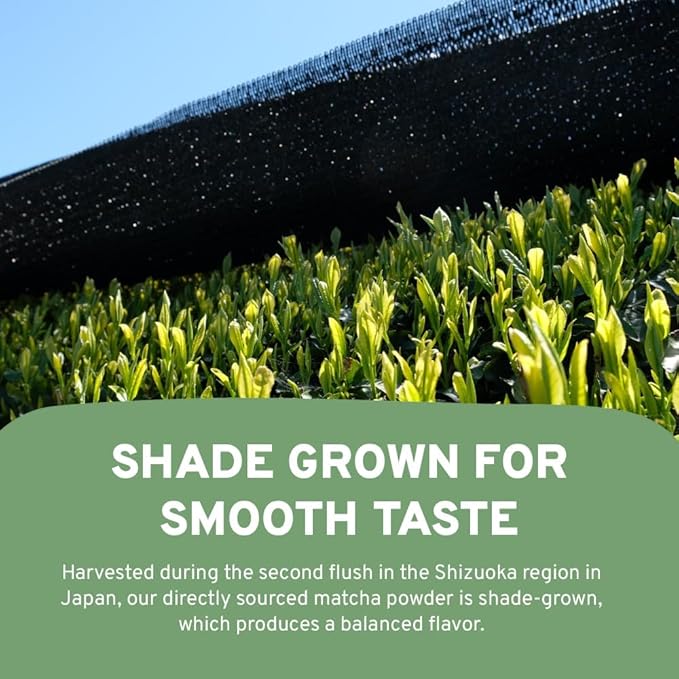 HANDPICK Japanese Organic Matcha Green Tea Powder (100 Servings) - Authentic Premium Second Flush