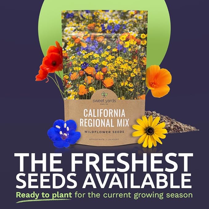 California Wildflower Mixture - Bulk 1/4 Pound Bag - Over 30,000 Native Seeds - Open Pollinated and